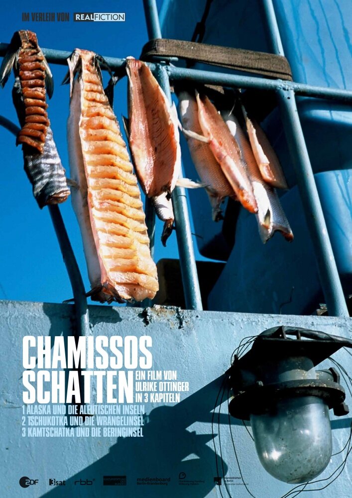 Chamissos Schatten (2016) постер